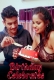 Birthday Celebrates (2024) SexFantasy Short Film Download