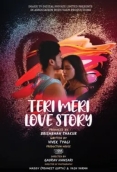 Teri Meri Love Story (2025) ImaxxTV S01 E01-04 Web Series