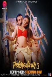 Pehredaar (2023) PrimePlay S03E04T05 Web Series Watch Online (2024)