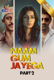 Naam Gum Jayega (2024) S01 Part 2 Web Series Download (2024)