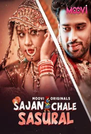 Sajan Chale Sasural 2024 Moovi S01 Part 2 Web Series Download (2024)