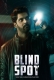 Blind Spot (2025) Hindi Dubbed Movie HDRip Download